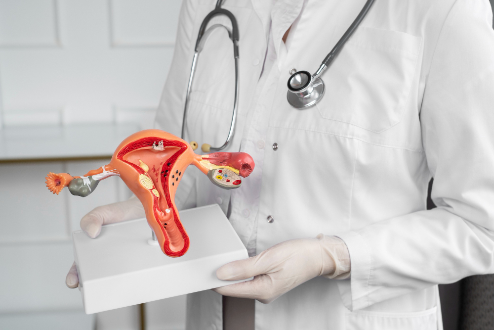 Best doctor for fibroid treatment for Navi Mumbai